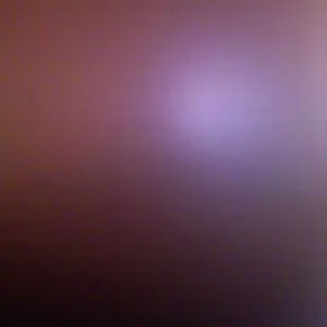 Meet your Posher, Alison